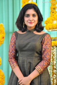 nivetha-thomas-hd-latest-images-393