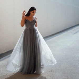 nyla-usha-in-gray-Tulle-Ball-Gown-dress-photo-001