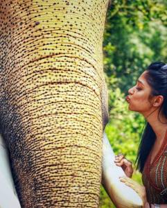 nyla usha pictures-002