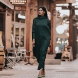 nyla-usha-new-photos-in-long-green-dress-005