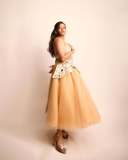 parvathy-thiruvothu-in-strapless-Mesh-Fabric-With-Contrast-Sequin-Decor-Flared-Skirt-Suitable-For-Party-Wear-Wedding-photos-006