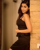 kerala-models-photos-parvathy-photos-012