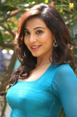 parvathy-nair-latest-photos-02013