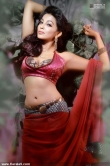 parvathy-nair-pics-00351