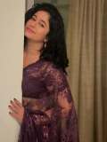 poonam-bajwa-in-purple-net-saree-photos-001