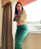 poonam-bajwa-wearing-jeans-and-short-top-pictures-003