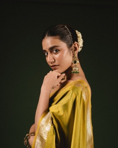 priya-varrier-in-mustard-yellow-hue-with-a-glossy-silk-saree-heavily-embellished-sleeveless-corset-or-bustier-style-blouse-ideas-photos-014
