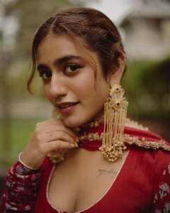 priya-varrier-in-wine-red-party-wear-dress-photos
