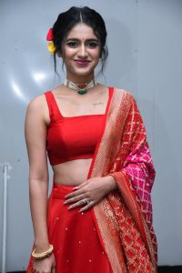 priya-varrier-new-photo-gallery-01-003