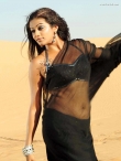 1203priyamani-latest-gallery-51