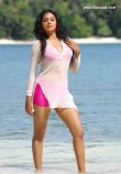 1606actress_priyamani_new__photos_88-007