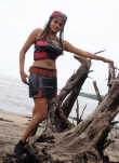 1794actress_priyamani_new_photos_99-005