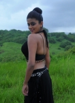2781actress_priyamani_latest_pictures_22-004