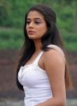 3335actress_priyamani_photos_47