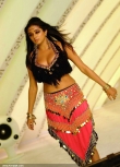 3457actress_priyamani_latest_photo_gallery_12-001