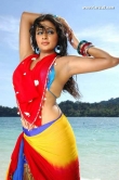 3894actress_priyamani_new__photos_88-008
