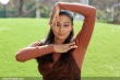 4396priyamani_latest_photos_055-010