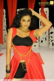 5029actress_priyamani_latest_stills_44