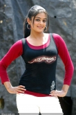 5316actress_priyamani_latest_pics_11-005