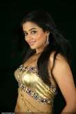 727actress_priyamani_new_photos_99-006
