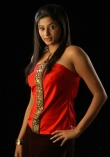 7337priyamani_latest_picture_gallery_099-006