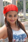 7357actress_priyamani_latest_picture_gallery_14-005