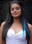 8324actress_priyamani_latest_pictures_22-003