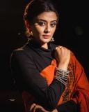 priyamani-new-photos-in-saree-005