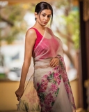 priyamani-new-photos-in-saree-011