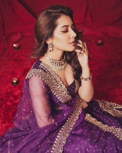 raashi-khanna-in-net-cloth-material-dress-photos-002