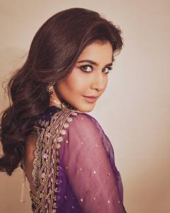raashi-khanna-in-net-cloth-material-dress-photos-004