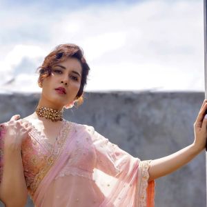 raashi-khanna-in-net-cloth-material-dress-photos