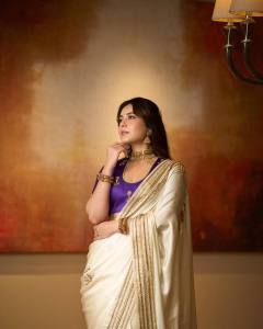 raashi-khanna-in-silver-tissue-saree-with-contrast-violet-blouse-photos-008