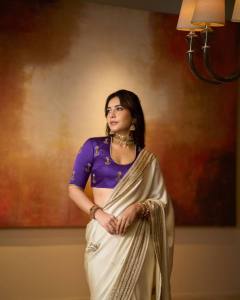 raashi-khanna-in-silver-tissue-saree-with-contrast-violet-blouse-photos