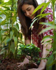 raashi-khanna-latest-pics-007