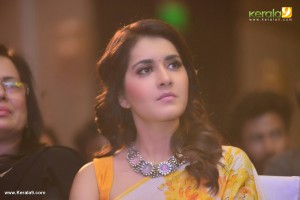 raashi-khanna-latest-pictures-332-00292