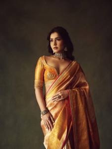 raashii-khanna-stylish-out-fit-ideas-for-party-look-photos-025