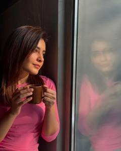 rashi-khanna-cute-poses-photos-019