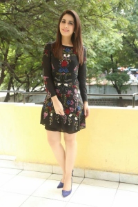 rashi-khanna-images-4212