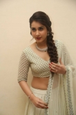 raashi-khanna-images-007-00131