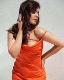 raashi-khanna-in-orange-colour-dress-010