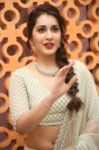 raashi-khanna-pictures-432-00382