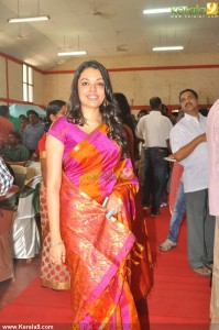 malayalam-actress-radhika-stills29