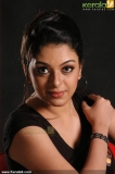 actress_radhika_new_photos-04369