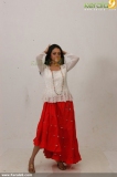 malayalam_actress_radhika_photoshoot-00252