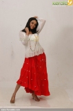 malayalam_actress_radhika_photoshoot-00346