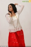 malayalam_actress_radhika_photoshoot-00660