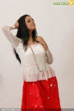 malayalam_actress_radhika_photoshoot-00713