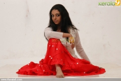 malayalam_actress_radhika_photoshoot-01066