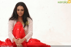 malayalam_actress_radhika_photoshoot-01438